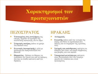ΠΕΖΟΣΤΡΑΤΟΣ
 Υποταγμένος στις αντιλήψεις της
εποχής, δεχόταν το κριτήριο της
κοινωνικής καταγωγής για το γάμο
 Στοργικός πατέρας (κάνει το χατίρι
του παιδιού του)
 Ευγενικός (συνομιλητής): μιλά με
προσοχή και διακριτικότητα στο
βασιλιά
 Θαρραλέος : βρίσκει το θάρρος να
ξεπεράσει τον εαυτό του και τις απόψεις
του και να σταθεί απέναντι από τον
Ηράκλη
ΗΡΑΚΛΗΣ
 Αυταρχικός
 Εγωιστής (πάνω από την ευτυχία της
κόρης του θέτει το προσωπικό του
όφελος και το συμφέρον της εξουσίας
του)
 Σκληρός και απάνθρωπος απέναντι σε
κάποιον που ήταν για καιρό σύμβουλος
και βοηθός του στο παλάτι
 Υποκριτικά μεγαλόψυχος απέναντι
στον Πεζόστρατο (δεν τον εξορίζει
επειδή τον λυπάται που είναι
ηλικιωμένος
 