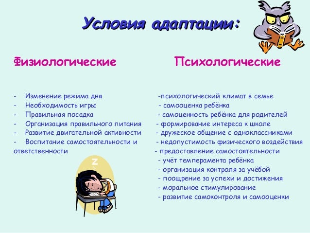 Адаптация климата джетта 6
