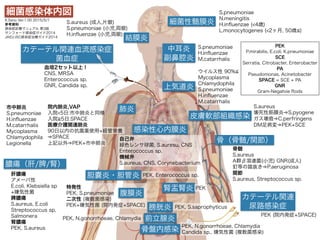 抗生剤一覧