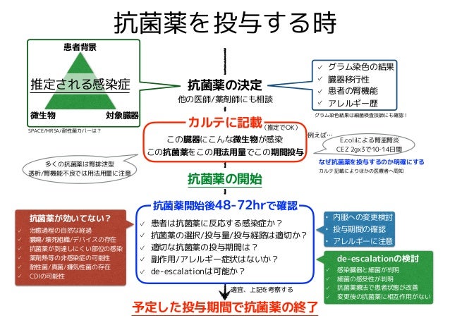 抗生剤一覧