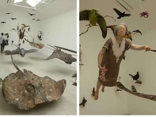 הומור בסין חלק ב