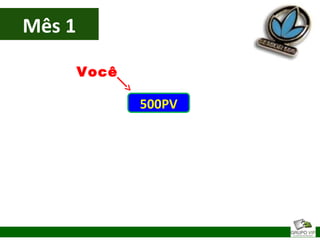 Mês 1
500PV
Você
 