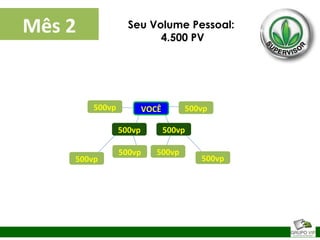 VOCÊ
500vp500vp
500vp
500vp
500vp
500vp
500vp
500vp
Seu Volume Pessoal:
4.500 PV
Mês 2
 