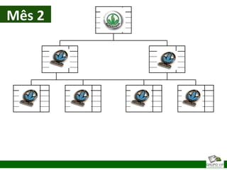 Mês 2
 