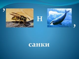 н
,
санки
,
 
