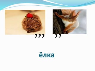ёлка
,,, ,,
 
