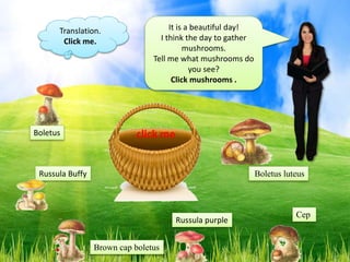 Cep
Boletus
Russula Buffy
Russula purple
Brown cap boletus
Boletus luteus
It is a beautiful day!
I think the day to gather
mushrooms.
Tell me what mushrooms do
you see?
Click mushrooms .
click me
Translation.
Click me.
 