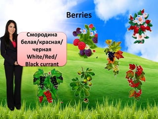 Berries
Голубика
Bog bilberry
Шиповник
Hip
Брусника
Cowberry
Рябина
Ashberry
Малина
Raspberry
Ежевика
Blackberry
Крыжовник
Gooseberry
Смородина
белая/красная/
черная
White/Red/
Black currant
 