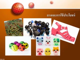 ยางและการใช้ประโยชน์
 