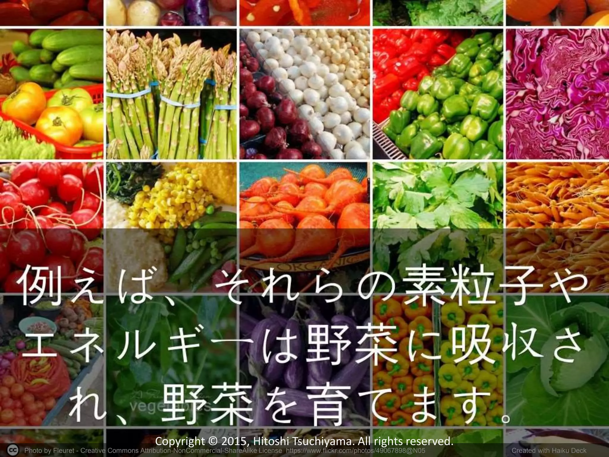 Photo by Fleuret - Creative Commons Attribution-NonCommercial-ShareAlike License https://www.flickr.com/photos/49067898@N05 Created with Haiku Deck
Copyright © 2015, Hitoshi Tsuchiyama. All rights reserved.
 