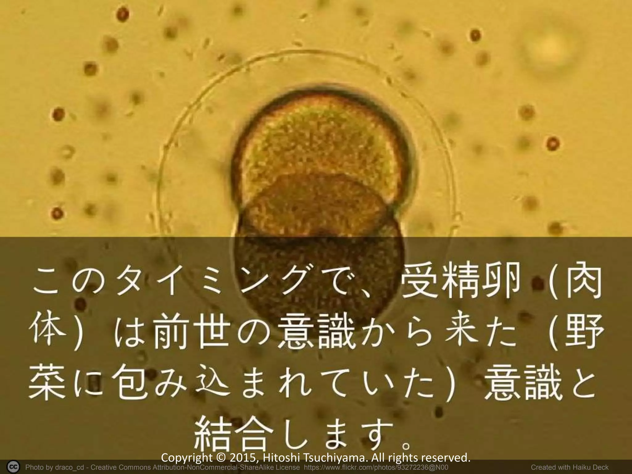 Photo by draco_cd - Creative Commons Attribution-NonCommercial-ShareAlike License https://www.flickr.com/photos/93272236@N00 Created with Haiku Deck
Copyright © 2015, Hitoshi Tsuchiyama. All rights reserved.
 