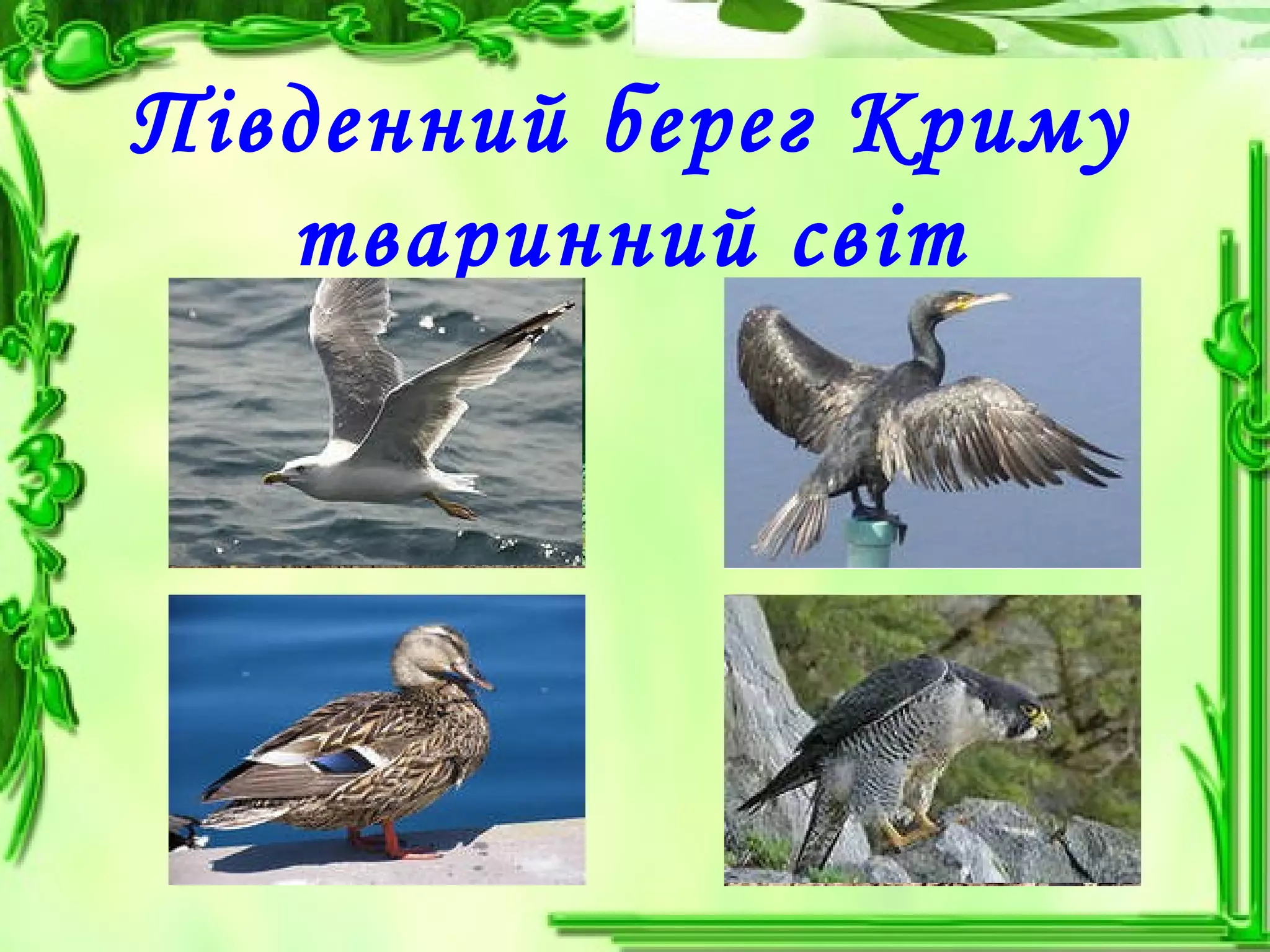 Південний берег Криму
тваринний світ
 