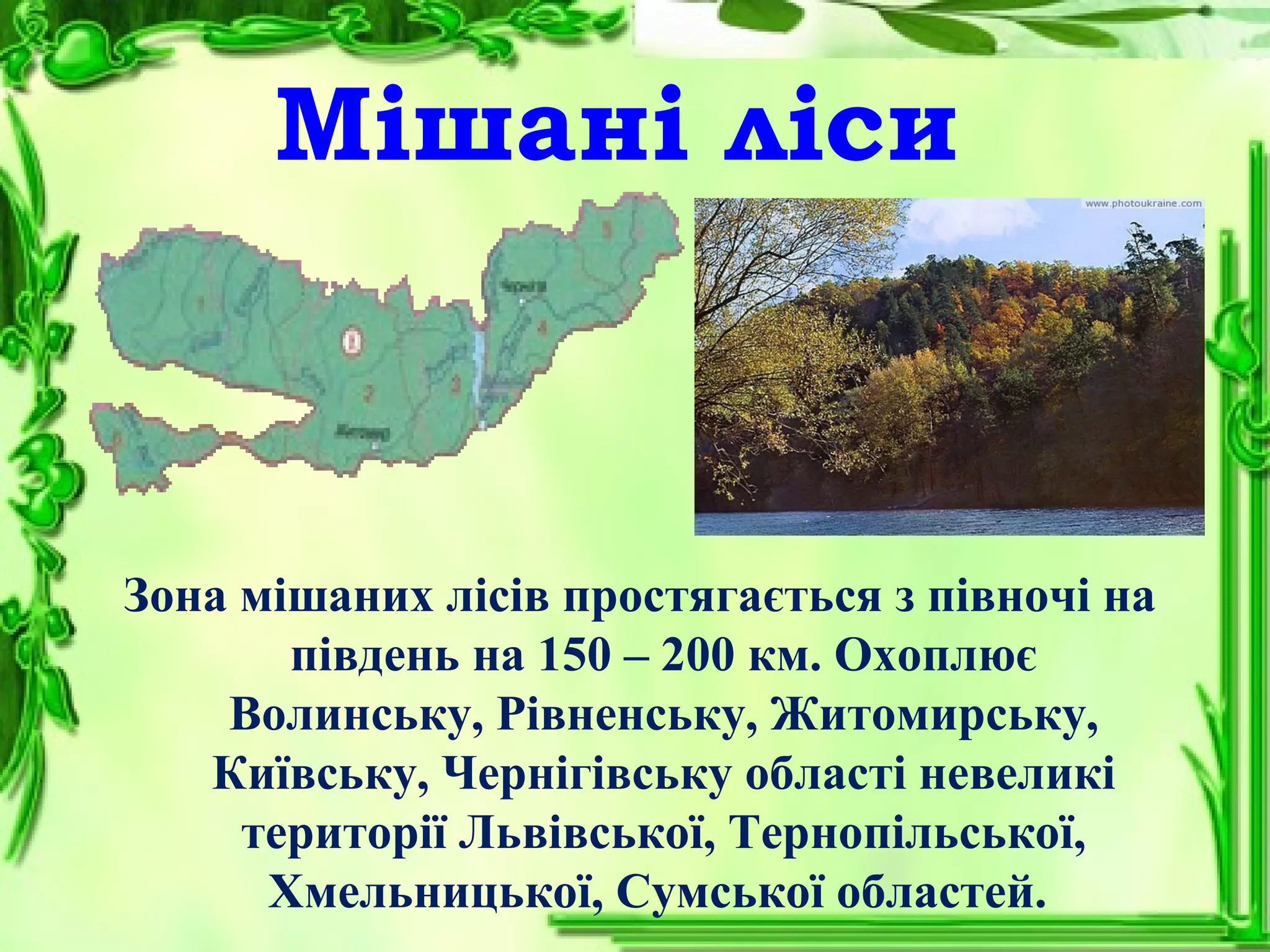 Мішані ліси
Зона мішаних лісів простягається з півночі на
південь на 150 – 200 км. Охоплює
Волинську, Рівненську, Житомирську,
Київську, Чернігівську області невеликі
території Львівської, Тернопільської,
Хмельницької, Сумської областей.
 
