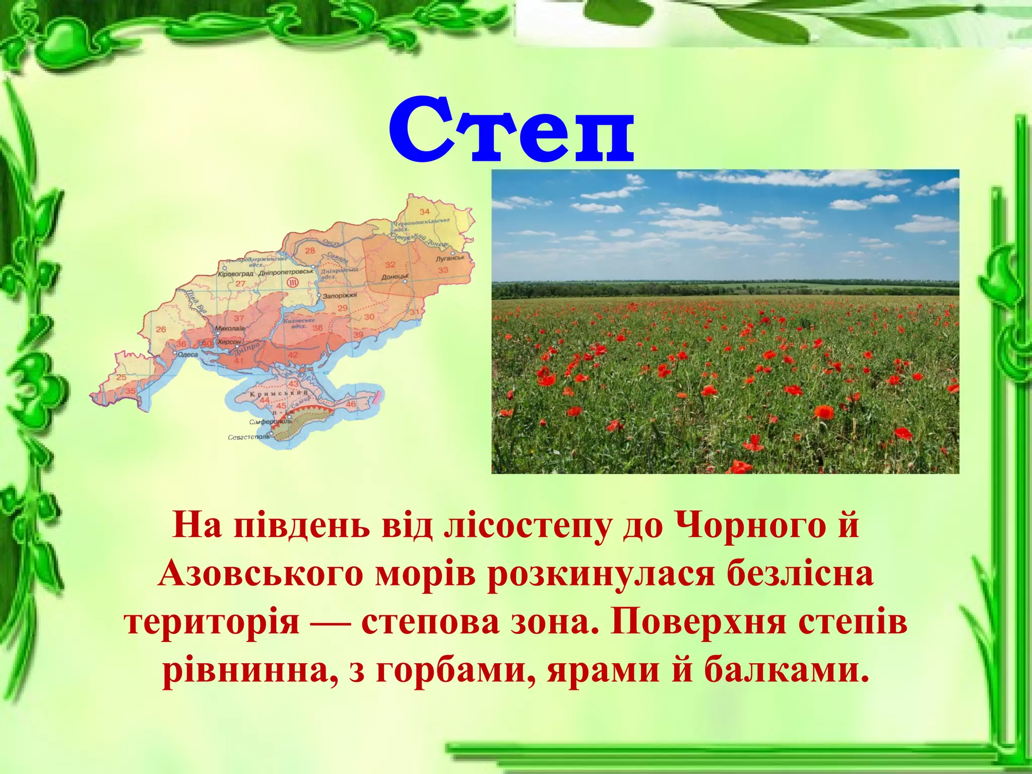 Степ
На південь від лісостепу до Чорного й
Азовського морів розкинулася безлісна
територія — степова зона. Поверхня степів
рівнинна, з горбами, ярами й балками.
 