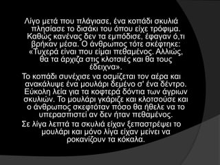 Λίγο μετά που πλάγιασε, ένα κοπάδι σκυλιά
πλησίασε το δισάκι του όπου είχε τρόφιμα.
Καθώς κανένας δεν τα εμπόδισε, έφαγαν ό,τι
βρήκαν μέσα. Ο άνθρωπος τότε σκέφτηκε:
«Τυχερά είναι που είμαι πεθαμένος. Αλλιώς,
θα τα άρχιζα στις κλοτσιές και θα τους
έδειχνα».
Το κοπάδι συνέχισε να οσμίζεται τον αέρα και
ανακάλυψε ένα μουλάρι δεμένο σ' ένα δέντρο.
Εύκολη λεία για τα κοφτερά δόντια των άγριων
σκυλιών. Το μουλάρι γκάριζε και κλοτσούσε και
ο άνθρωπος σκεφτόταν πόσο θα ήθελε να το
υπερασπιστεί αν δεν ήταν πεθαμένος.
Σε λίγα λεπτά τα σκυλιά είχαν ξεπαστρέψει το
μουλάρι και μόνο λίγα είχαν μείνει να
ροκανίζουν τα κόκαλα.
 