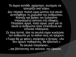 Το άγριο κοπάδι, αχόρταγο, συνέχισε να
τριγυρίζει εκεί γύρω.
Δεν πέρασε πολλή ώρα ώσπου ένα σκυλί
αντιλήφθηκε τη μυρωδιά του ανθρώπου.
Κοίταξε και βρήκε τον ξυλοκόπο
πλαγιασμένο ακίνητο στο έδαφος.
Πλησίασε αργά, πολύ αργά, γιατί για το
σκυλί οι άνθρωποι ήταν επικίνδυνα και
ύπουλα πλάσματα.
Σε λίγα λεπτά, όλα τα σκυλιά είχαν κυκλώσει
τον άνθρωπο με τα σάλια τους να τρέχουν.
«Τώρα θα με φάνε» σκέφτηκε ο άντρας. «Αν
δεν ήμουν πεθαμένος, θα έβλεπαν.»
Τα σκυλιά πλησίασαν...
...και βλέποντας τον ακίνητο, τον έφαγαν.
 