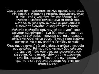 Όμως, μετά την παράσταση και λίγο προτού επιστρέψει
στη σκηνή, ο ελέφαντας στεκόταν δεμένος συνεχώς
σ΄ ένα μικρό ξύλο μπηγμένο στο έδαφος. Μια
αλυσίδα κρατούσε φυλακισμένα τα πόδια του.
Ωστόσο, το ξύλο ήταν αληθινά μικροσκοπικό κι
έμπαινε σε ελάχιστο βάθος μέσα στο έδαφος.
Μολονότι η αλυσίδα ήταν χοντρή και ισχυρή, μου
φαινόταν ολοφάνερο ότι ένα ζώο που μπορούσε να
ξεριζώνει δέντρα με τη δύναμη του, θα μπορούσε
εύκολα να λυθεί και να φύγει. Το θεωρούσα αληθινό
μυστήριο. Μα τι τον κρατάει; Γιατί δεν το σκάει;
Όταν ήμουν πέντε ή έξι ετών πίστευα ακόμα στη σοφία
των μεγάλων. Ρώτησα τότε κάποιον δάσκαλο ,τον
πατέρα μου ή ένα θείο μου, για το μυστήριο του
ελέφαντα. Κάποιος μου εξήγησε ότι ο ελέφαντας
είναι δαμασμένος. Έκανα τότε την προφανή
ερώτηση: Κι αφού είναι δαμασμένος, γιατί τον
αλυσοδένουν;
 