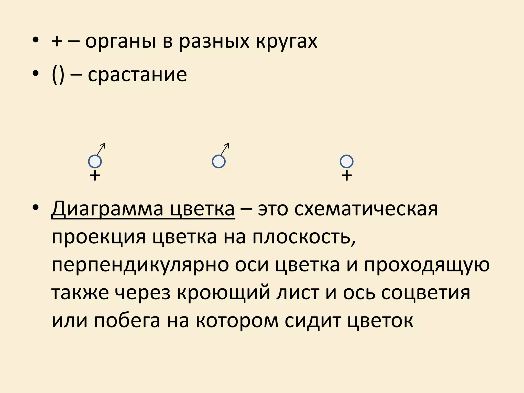 • + – органы в разных кругах
• () – срастание
+ +
• Диаграмма цветка – это схематическая
проекция цветка на плоскость,
перпендикулярно оси цветка и проходящую
также через кроющий лист и ось соцветия
или побега на котором сидит цветок
 