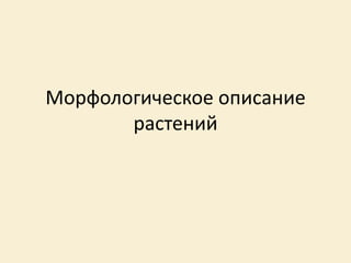 Морфологическое описание
растений
 