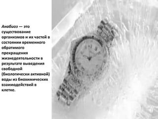 Анабиоз — это
существование
организмов и их частей в
состоянии временного
обратимого
прекращения
жизнедеятельности в
результате выведения
свободной
(биологически активной)
воды из биохимических
взаимодействий в
клетке.
 