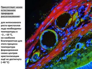 Присутствует некое
естественное
природное
рассогласование:
для интенсивного
роста кристаллов
льда необходимы
температуры в
−2…−10 °C,
но наиболее
благоприятная для
этого процесса
температура
формирования
самих центров
кристаллизации
ещё не достигнута
(−40 °С)
 