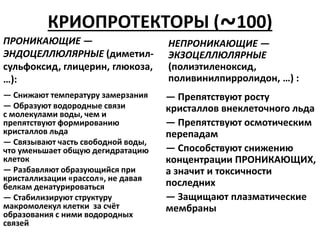 КРИОПРОТЕКТОРЫ (~100)
ПРОНИКАЮЩИЕ —
ЭНДОЦЕЛЛЮЛЯРНЫЕ (диметил-
сульфоксид, глицерин, глюкоза,
…):
— Снижают температуру замерзания
— Образуют водородные связи
с молекулами воды, чем и
препятствуют формированию
кристаллов льда
— Связывают часть свободной воды,
что уменьшает общую дегидратацию
клеток
— Разбавляют образующийся при
кристаллизации «рассол», не давая
белкам денатурироваться
— Стабилизируют структуру
макромолекул клетки за счёт
образования с ними водородных
связей
НЕПРОНИКАЮЩИЕ —
ЭКЗОЦЕЛЛЮЛЯРНЫЕ
(полиэтиленоксид,
поливинилпирролидон, …) :
— Препятствуют росту
кристаллов внеклеточного льда
— Препятствуют осмотическим
перепадам
— Способствуют снижению
концентрации ПРОНИКАЮЩИХ,
а значит и токсичности
последних
— Защищают плазматические
мембраны
 