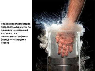 Подбор криопротекторов
проводят эмпирически по
принципу наименьшей
токсичности и
оптимального эффекта
(метод — «пальцем в
небо»)
 