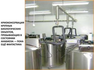 КРИОКОНСЕРВАЦИЯ
КРУПНЫХ
БИОЛОГИЧЕСКИХ
ОБЪЕКТОВ,
ПРЕБЫВАЮЩИХ В
СОСТОЯНИИ
АНАБИОЗА — ПОКА
ЕЩЁ ФАНТАСТИКА
 