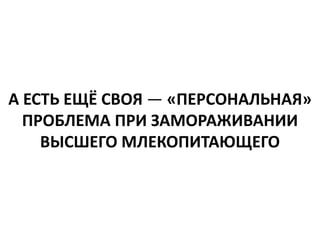 А ЕСТЬ ЕЩЁ СВОЯ — «ПЕРСОНАЛЬНАЯ»
ПРОБЛЕМА ПРИ ЗАМОРАЖИВАНИИ
ВЫСШЕГО МЛЕКОПИТАЮЩЕГО
 