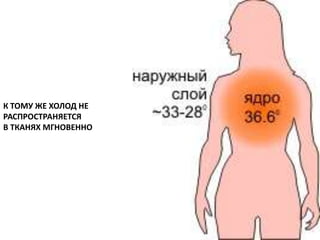 К ТОМУ ЖЕ ХОЛОД НЕ
РАСПРОСТРАНЯЕТСЯ
В ТКАНЯХ МГНОВЕННО
 
