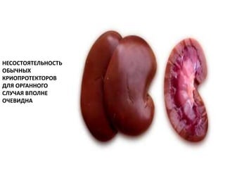 НЕСОСТОЯТЕЛЬНОСТЬ
ОБЫЧНЫХ
КРИОПРОТЕКТОРОВ
ДЛЯ ОРГАННОГО
СЛУЧАЯ ВПОЛНЕ
ОЧЕВИДНА
 