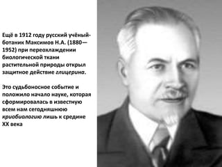 Ещё в 1912 году русский учёный-
ботаник Максимов Н.А. (1880—
1952) при переохлаждении
биологической ткани
растительной природы открыл
защитное действие глицерина.
Это судьбоносное событие и
положило начало науке, которая
сформировалась в известную
всем нам сегодняшнюю
криобиологию лишь к средине
ХХ века
 