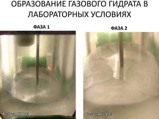ОБРАЗОВАНИЕ ГАЗОВОГО ГИДРАТА В
ЛАБОРАТОРНЫХ УСЛОВИЯХ
ФАЗА 1 ФАЗА 2
 