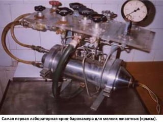Самая первая лабораторная крио-барокамера для мелких животных (крысы).
 