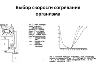 Выбор скорости согревания
организма
 