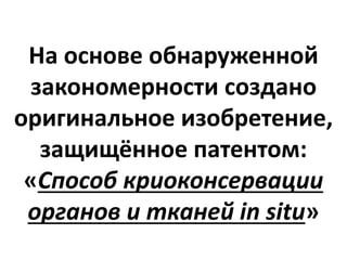 На основе обнаруженной
закономерности создано
оригинальное изобретение,
защищённое патентом:
«Способ криоконсервации
органов и тканей in situ»
 