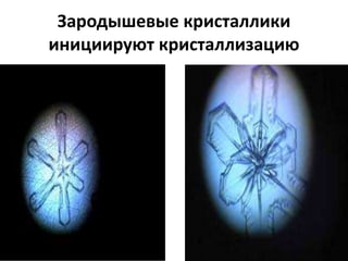 Зародышевые кристаллики
инициируют кристаллизацию
 