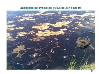 17
Забруднення гудроном у Львівській області
 