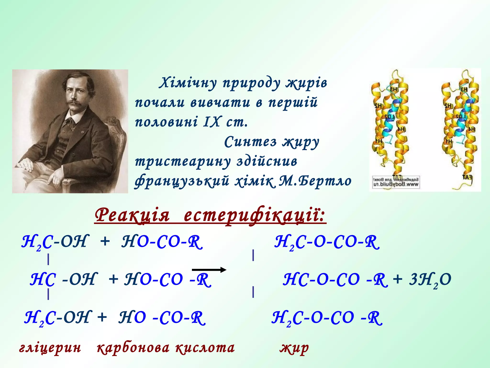 H2C-OH + HO-CO-R H2C-O-CO-R
HC -OH + HO-CO -R HC-O-CO -R + 3Н2О
H2C-OH + HO -CO-R H2C-O-CO -R
гліцерин карбонова кислота жир
Реакція естерифікації:
Хімічну природу жирів
почали вивчати в першій
половині ІХ ст.
Синтез жиру
тристеарину здійснив
французький хімік М.Бертло
 