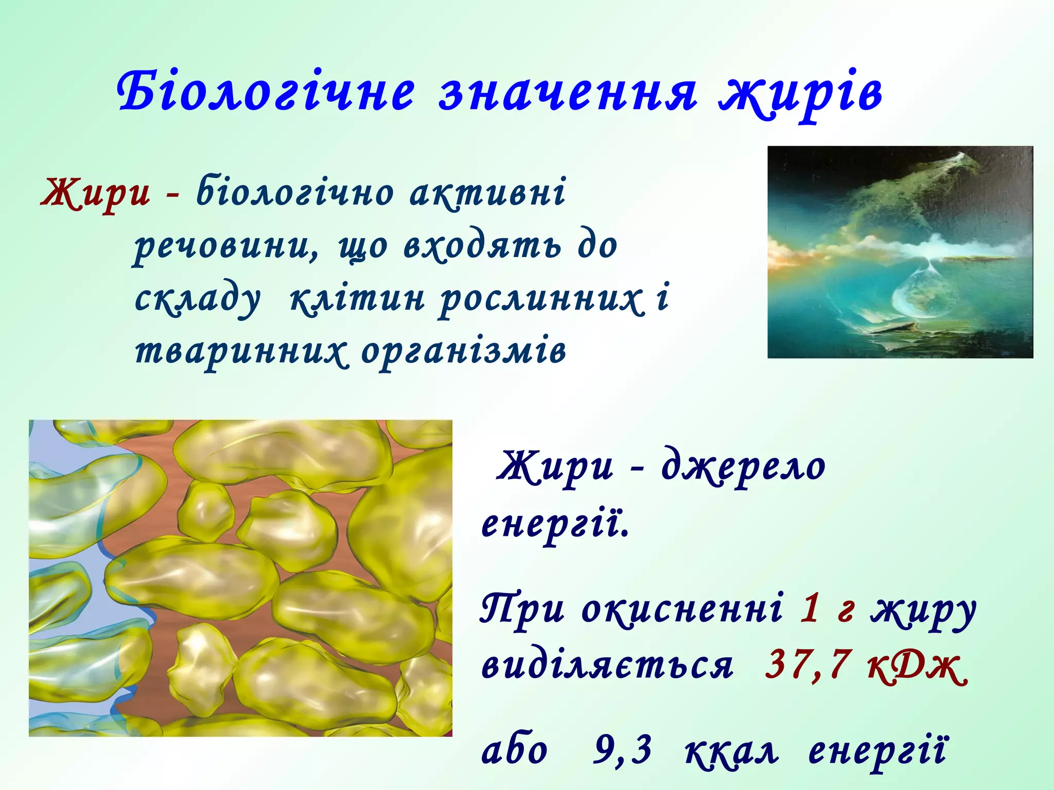 Біологічне значення жирів
Жири - джерело
енергії.
При окисненні 1 г жиру
виділяється 37,7 кДж
або 9,3 ккал енергії
Жири - біологічно активні
речовини, що входять до
складу клітин рослинних і
тваринних організмів
 