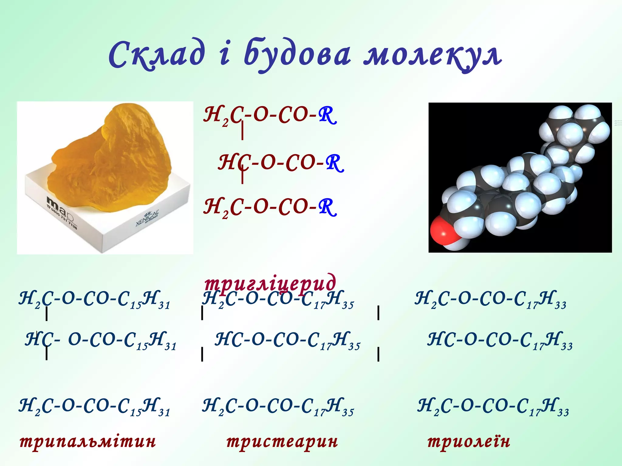 Склад і будова молекул
Н2С-О-СО-С15Н31 Н2С-О-СО-С17Н35 Н2С-О-СО-С17Н33
НС- О-СО-С15Н31 НС-О-СО-С17Н35 НС-О-СО-С17Н33
Н2С-О-СО-С15Н31 Н2С-О-СО-С17Н35 Н2С-О-СО-С17Н33
трипальмітин тристеарин триолеїн
H2С-О-СО-R
HC-O-CO-R
H2C-O-CO-R
тригліцерид
 