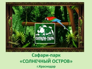 Сафари-парк
«СОЛНЕЧНЫЙ ОСТРОВ»
г.Краснодар
 