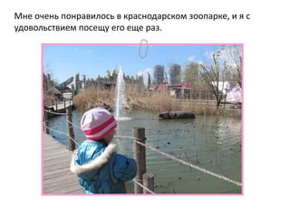Мне очень понравилось в краснодарском зоопарке, и я с
удовольствием посещу его еще раз.
 
