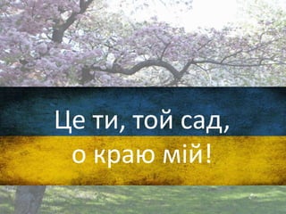 Це ти, той сад,
о краю мій!
 