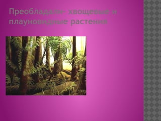 Преобладали- хвощевые и
плауновидные растения
 