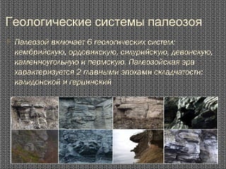 Геологические системы палеозоя
 Палеозой включает 6 геологических систем:
кембрийскую, ордовикскую, силурийскую, девонскую,
каменноугольную и пермскую. Палеозойская эра
характеризуется 2 главными эпохами складчатости:
калидонской и герцинский
 