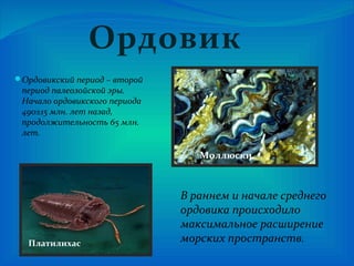 Ордовикский период – второй
период палеозойской эры.
Начало ордовикского периода
490±15 млн. лет назад,
продолжительность 65 млн.
лет.
В раннем и начале среднего
ордовика происходило
максимальное расширение
морских пространств.
Ордовик
Моллюски
Платилихас
 