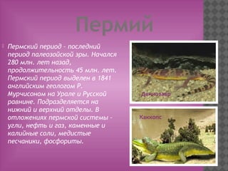 Пермий
 Пермский период – последний
период палеозойской эры. Начался
280 млн. лет назад,
продолжительность 45 млн. лет.
Пермский период выделен в 1841
английским геологом Р.
Мурчисоном на Урале и Русской
равнине. Подразделяется на
нижний и верхний отделы. В
отложениях пермской системы –
угли, нефть и газ, каменные и
калийные соли, медистые
песчаники, фосфориты.
Двинозавр
Каккопс
 