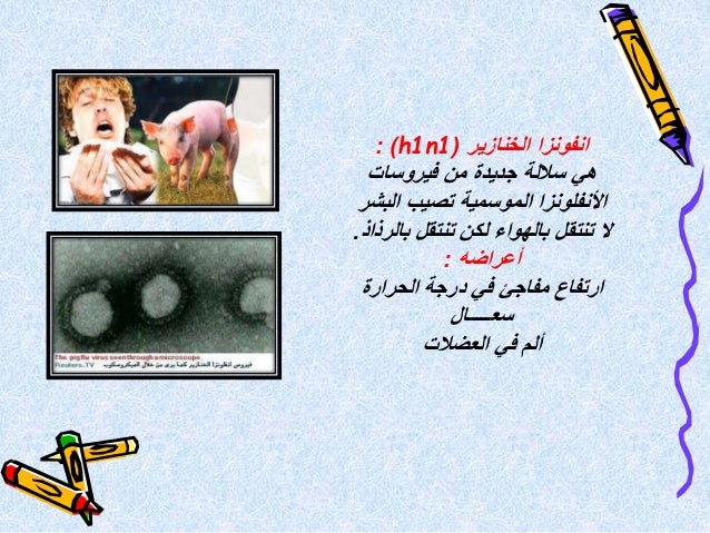 تتكاثر البدائيات والبكتيريا بواسطة