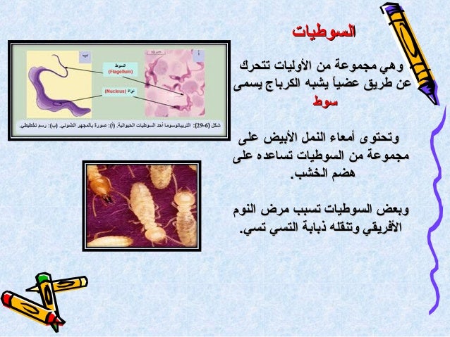 الكائنات الحية